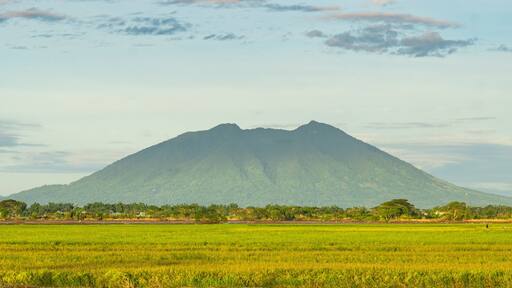 a view of Mount Arayat and it's vast rice field in the Philippines
