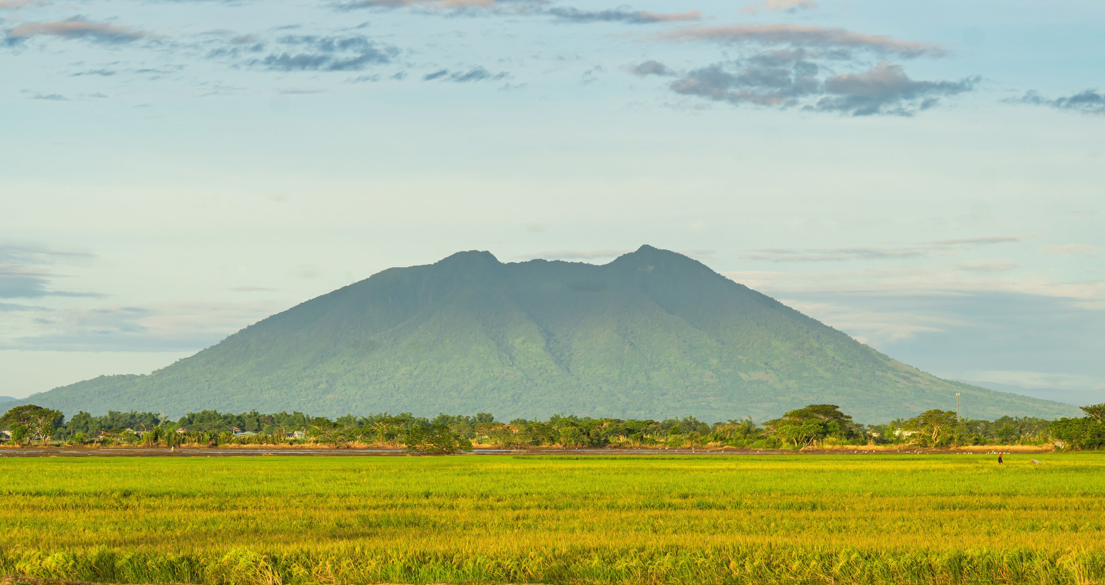 A mountain range with a foreground of green fields.