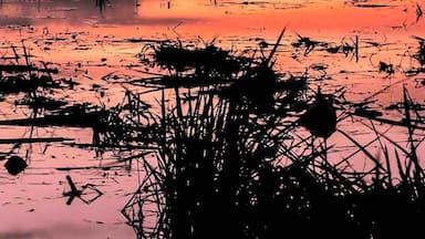 One of the Highest Mountain in Northern part of Philippines.....Views are 360 Visible from near by Town and villages..... also accessible for trekking, Camping and other activities, but need to notify first the Local Governments and local tour guides before climbing....