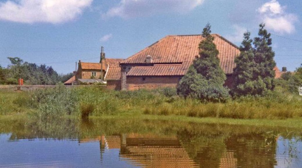 Pond, Edgefield Green, Norfolk View of the village pond taken from outside Bluebell Cottage.