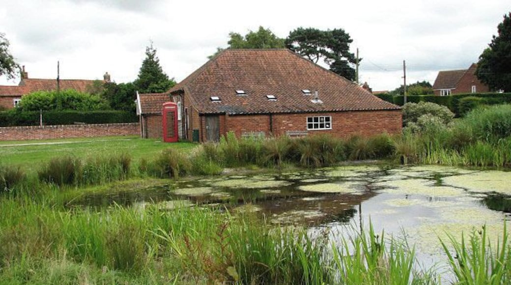 View across duck pond. The pond is located on the village green, beside the B1149 (Norwich Road) > 877231. The brick building seen beyond is the village hall.