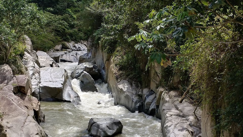 A river flowing through a rocky gorge surrounded by dense greenery.