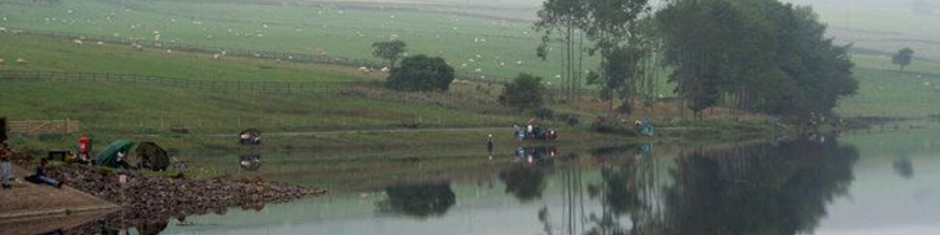 A calm lake with a reflection of trees and a distant farm.