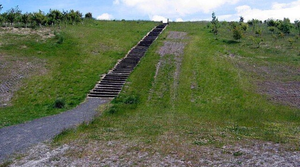 Hare Trail, Dalton Park This land was originally the site of the Murton colliery spoil heaps.