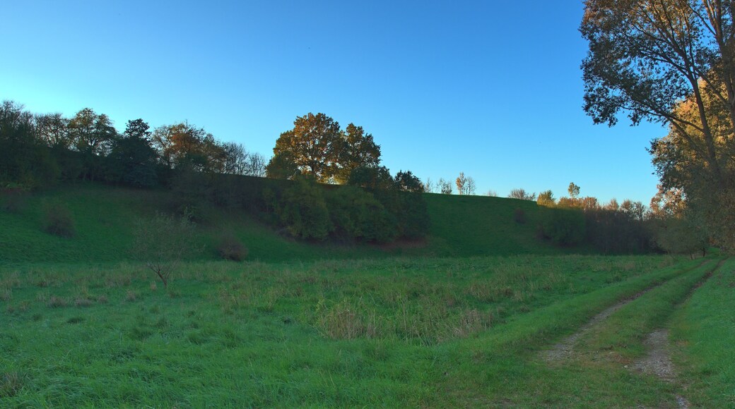 Naturschutzgebiet Trockenhänge südöstlich Lommatzsch
