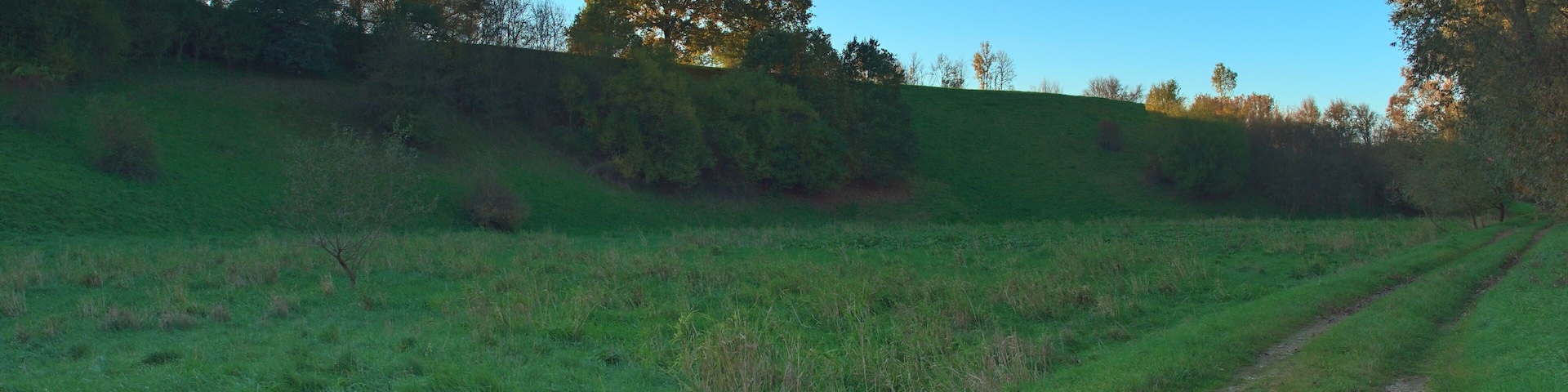 Naturschutzgebiet Trockenhänge südöstlich Lommatzsch