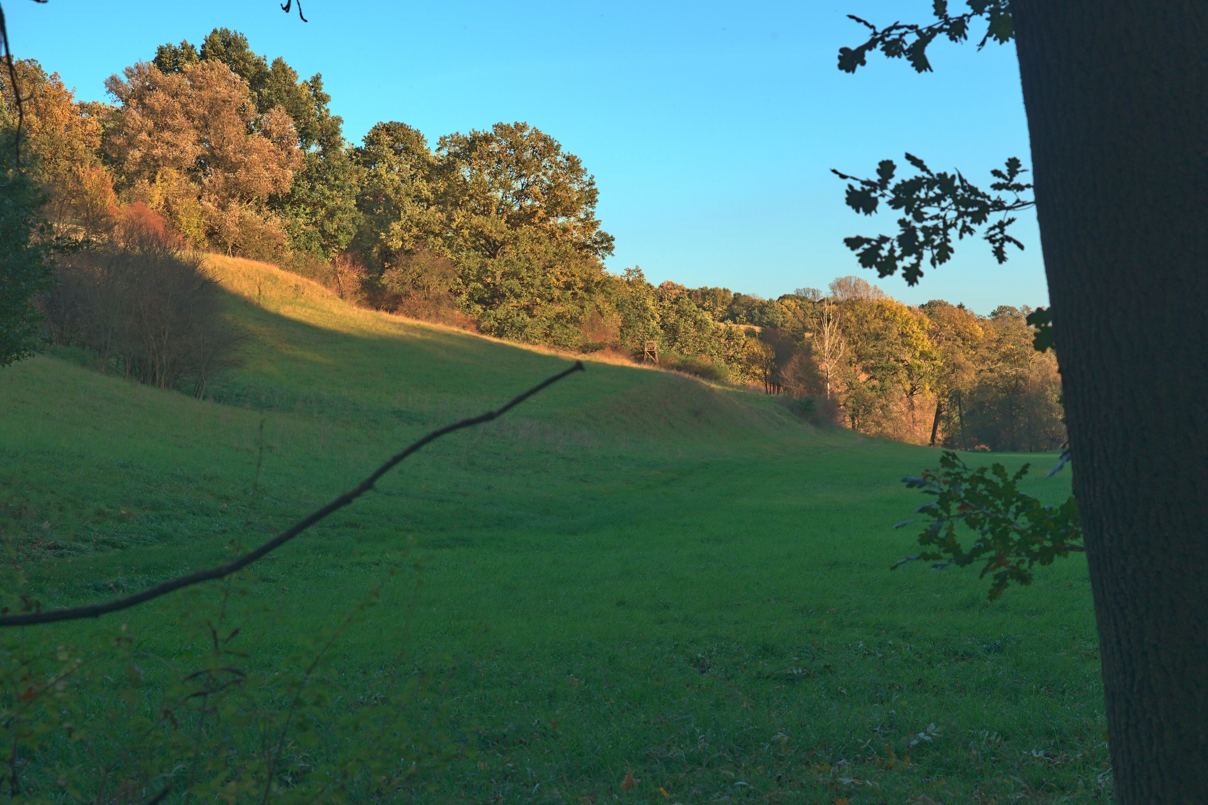 Naturschutzgebiet Trockenhänge südöstlich Lommatzsch