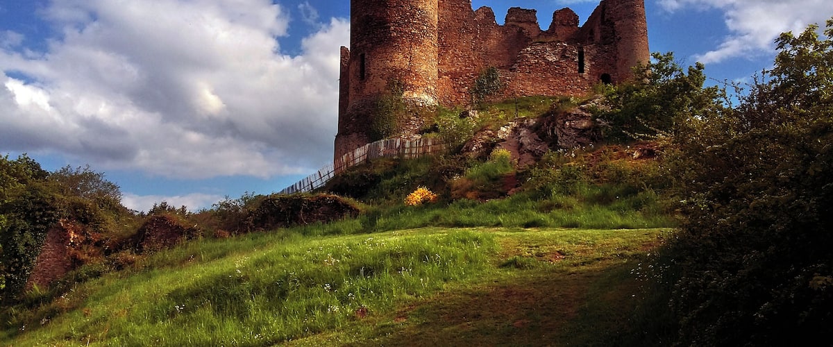 A historic castle with multiple towers, surrounded by lush greenery and a clear sky.