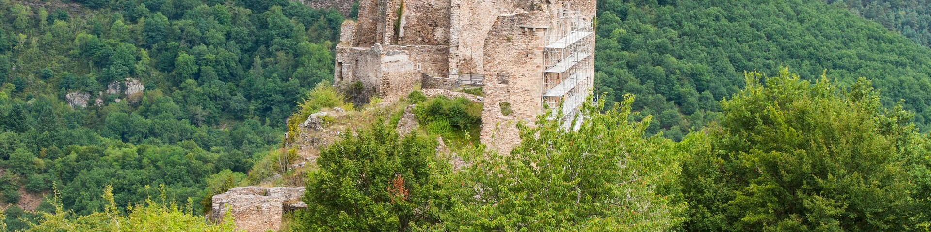 Un castillo medieval en lo alto de una colina, rodeado de un bosque denso y colinas ondulantes.