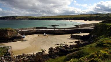 A coastal beach with a rocky breakwater, calm turquoise waters, and a grassy hillside.