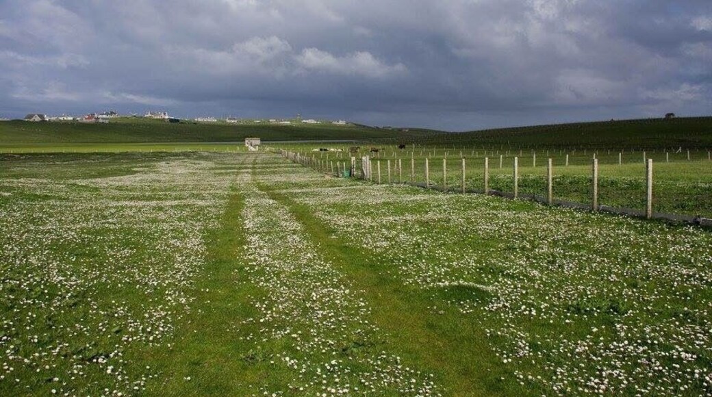 A lovely spot for birdwatching. Down by the small loch was a hideout where we sat, hoping to spot the corncrake. We thought we heard it but we couldn’t see it. We saw herons, lapwings, gulls etc. And in the fields there were cows and rabbits.
#isleoflewis #natureobservatory #hebrides #scotland #birdwatching #naturereserve #wildlife #green #lifeatexpedia