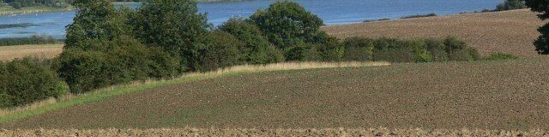 Un río, campos y árboles.