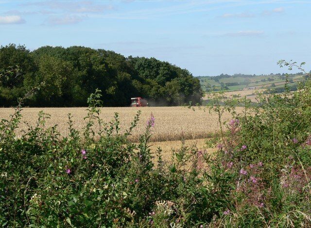 Farmland and Bolt Wood