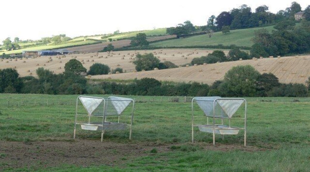 Farmland next to Allexton Field Road