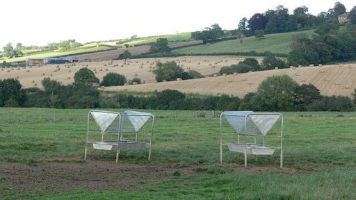 Farmland next to Allexton Field Road
