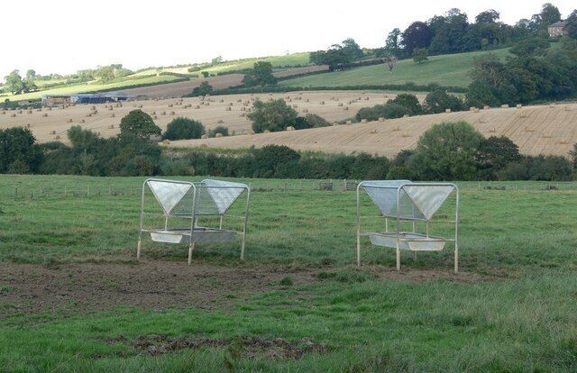 A rural landscape with green fields and a few metal structures in the foreground.