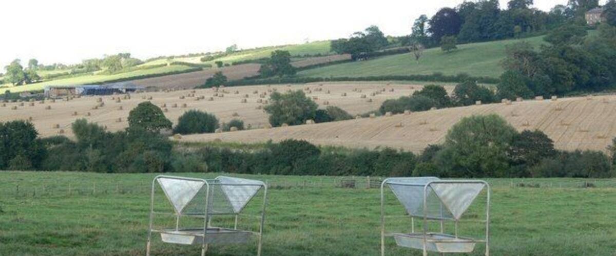 A rural landscape with green fields and a few metal structures in the foreground.