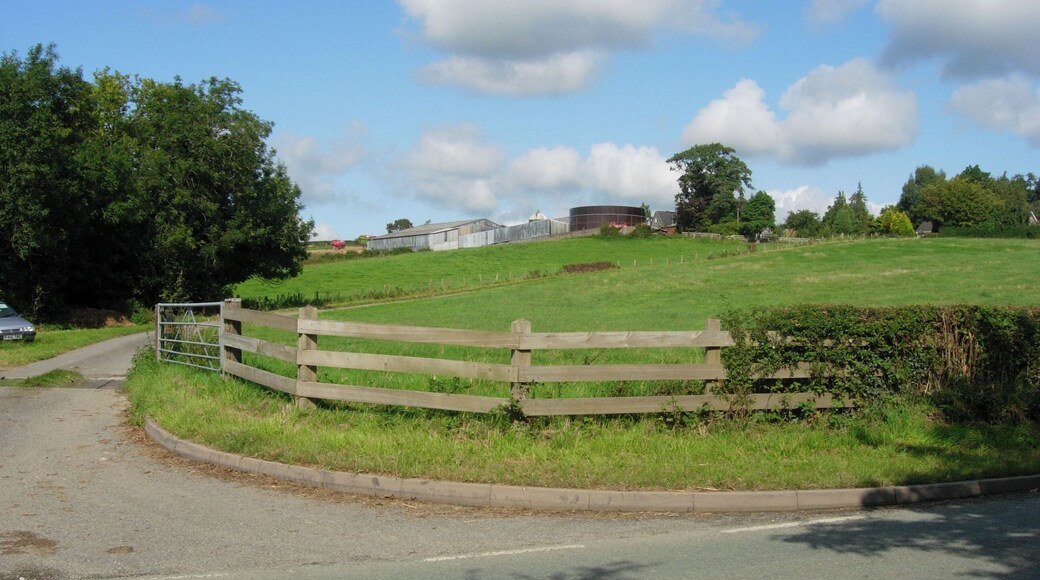 Farm Entrance on A489 near Pentrehayling View of Farm and Farm Entrance from A489 Trunk road near Pentrehayling (West Penyllan perhaps).