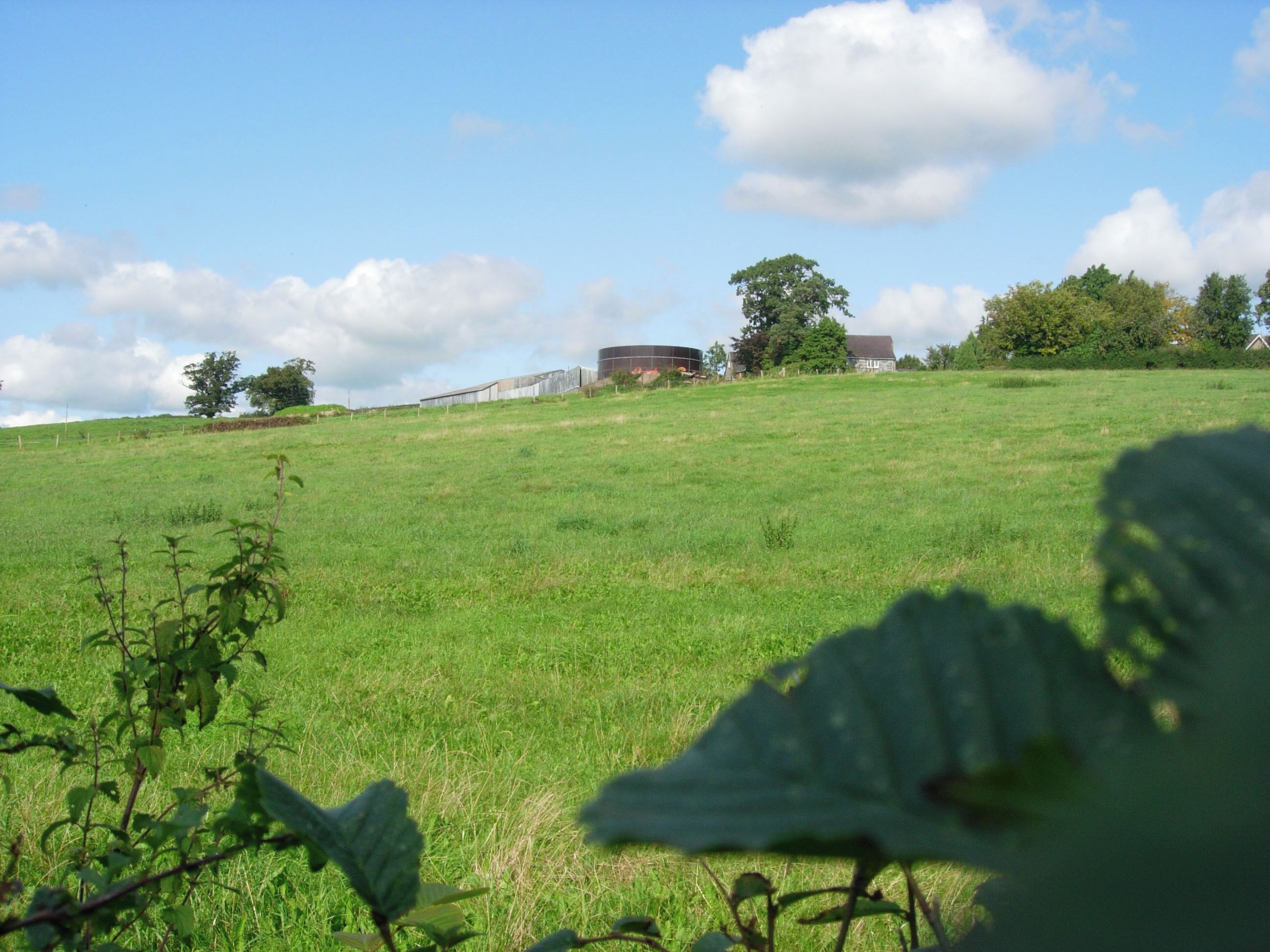 Farm Buildings and field (West Penyllan) General of field and Farm buildings taken from A489 trunk road. I believe the name to be West Penyllan (52.31'52.62N 0.07'58.09W)