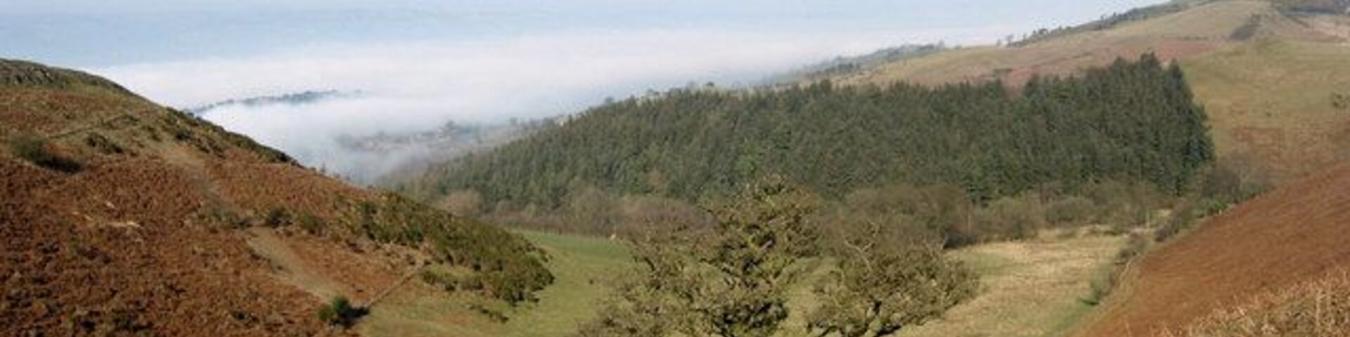 The Rowls and woods to the North