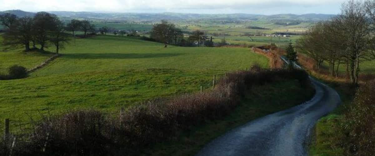 Una strada rurale serpeggia tra campi verdi, con colline lontane e cielo terso.