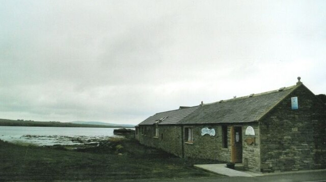 Shorelines Gallery, Finstown Another gallery on the Orkney craft trail, this is where Jane Glue is based - prints and cards from her watercolours of Orkney and its wildlife are everywhere on the islands and deservedly popular.
