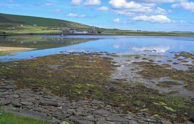 Beach and mudflats at Finstown Centre waterfront, Mainland Orkney Low tide has exposed considerable intertidal lands of this shallow edged bay. Note cumulus cloud reflections in bay as well as clear reflections of buildings across the bay to the north.