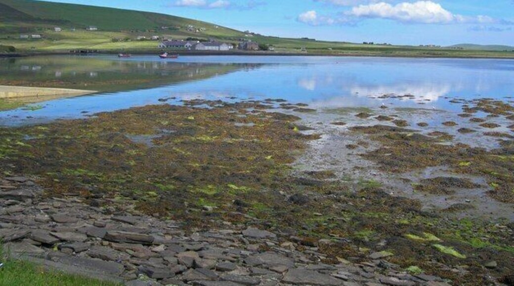 Beach and mudflats at Finstown Centre waterfront, Mainland Orkney Low tide has exposed considerable intertidal lands of this shallow edged bay. Note cumulus cloud reflections in bay as well as clear reflections of buildings across the bay to the north.