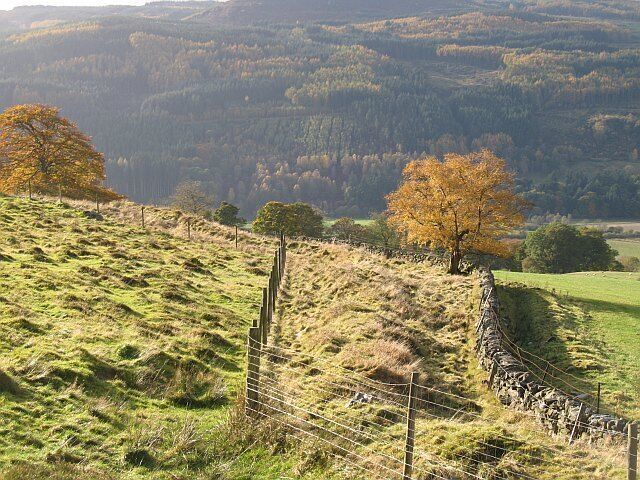 Field boundaries, Rotmell Three boundaries of different ages at the top of the improved pasture. Above there is a strip of rough grazing, then moorland or Rotmell Wood, a commercial plantation of spruce and larch.
