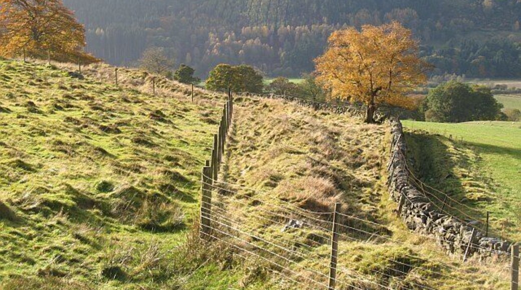 Field boundaries, Rotmell Three boundaries of different ages at the top of the improved pasture. Above there is a strip of rough grazing, then moorland or Rotmell Wood, a commercial plantation of spruce and larch.