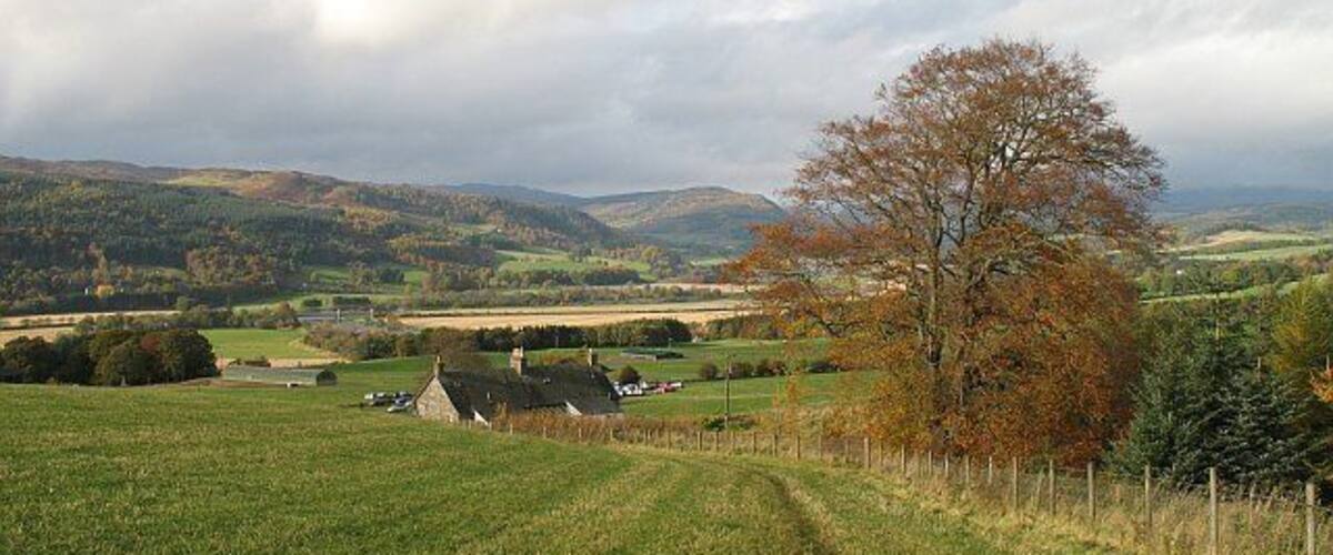 Field, Rotmell Edge of woodland above Rotmell Cottages with a fine view up the Tay.