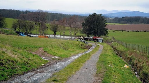 Farm Track and Farmland
