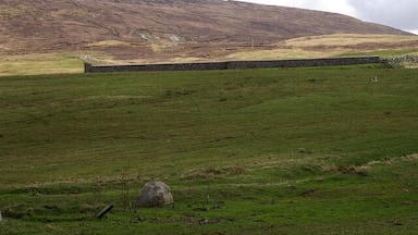 Brae cemetery The wall marks the cemetery and the hill beyond is Gallow Hill.