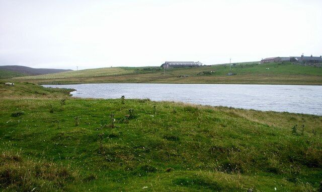 Kirkhouse Loch, Lunnasting. Shallow loch with thick beds of pondweed, view of the north bay.
