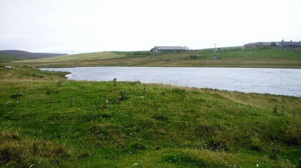 Kirkhouse Loch, Lunnasting. Shallow loch with thick beds of pondweed, view of the north bay.