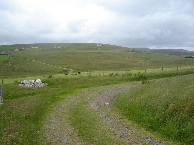 Bend in the track A mostly treeless landscape with scattered dwellings, this is a typical view of Westside Shetland.