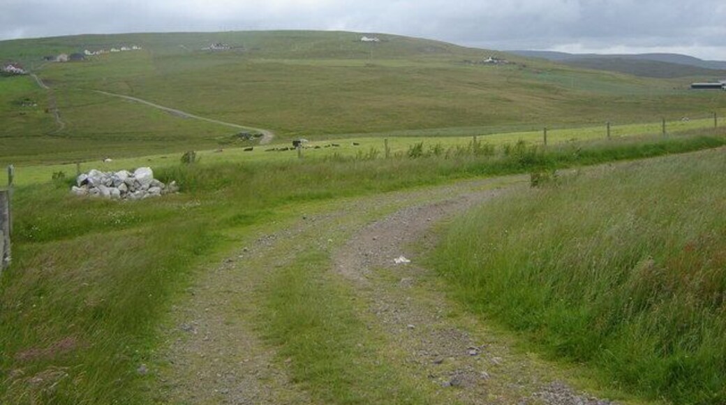 Bend in the track A mostly treeless landscape with scattered dwellings, this is a typical view of Westside Shetland.
