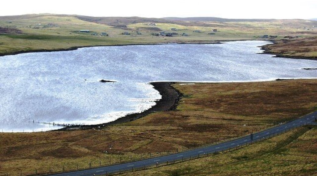 Nousta Skerry, Effirth Voe, Shetland. The community of Effirth is in the distance across the voe.