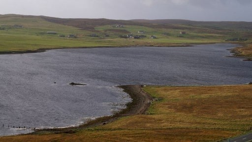 Bixter Voe and Effirth Voe