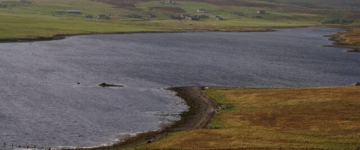 A coastal landscape with a body of water, grassy fields, and scattered houses.