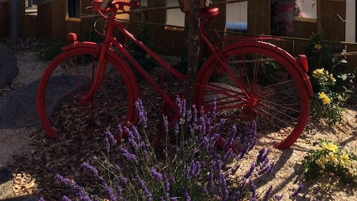 At a roundabout in St Pierre-du-Chemin to mark the arrival of the Tour de France flowing through the village. This was one of the many scarecrows of extraordinary beauty that were placed around the village.