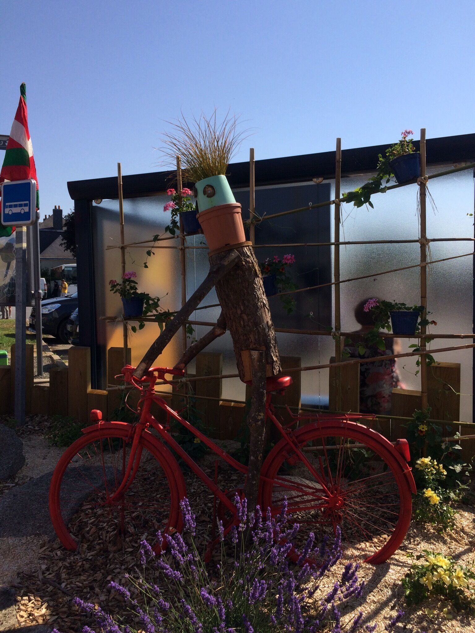 A red bicycle leaning against a tree with a pot on top, surrounded by lavender plants and a metal fence with potted plants.