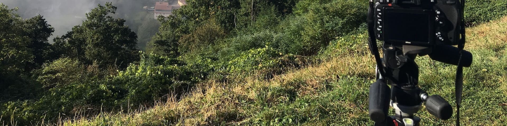 Zur Morgenstunde der beste Ausblick