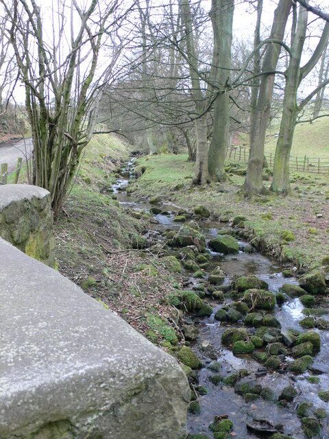 Tref y Nant Brook Small brook which eventually will join the river Dee near Trevor basin. Here it is near Cefn y Fedw farm.