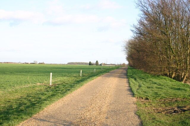 Adam's Lane Adam's Lane heading out to College Farm