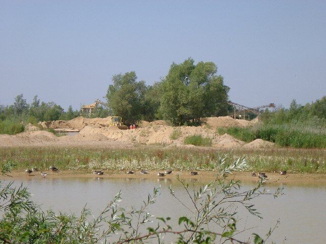 Gravel workings. All the workings don't seem to bother the birds