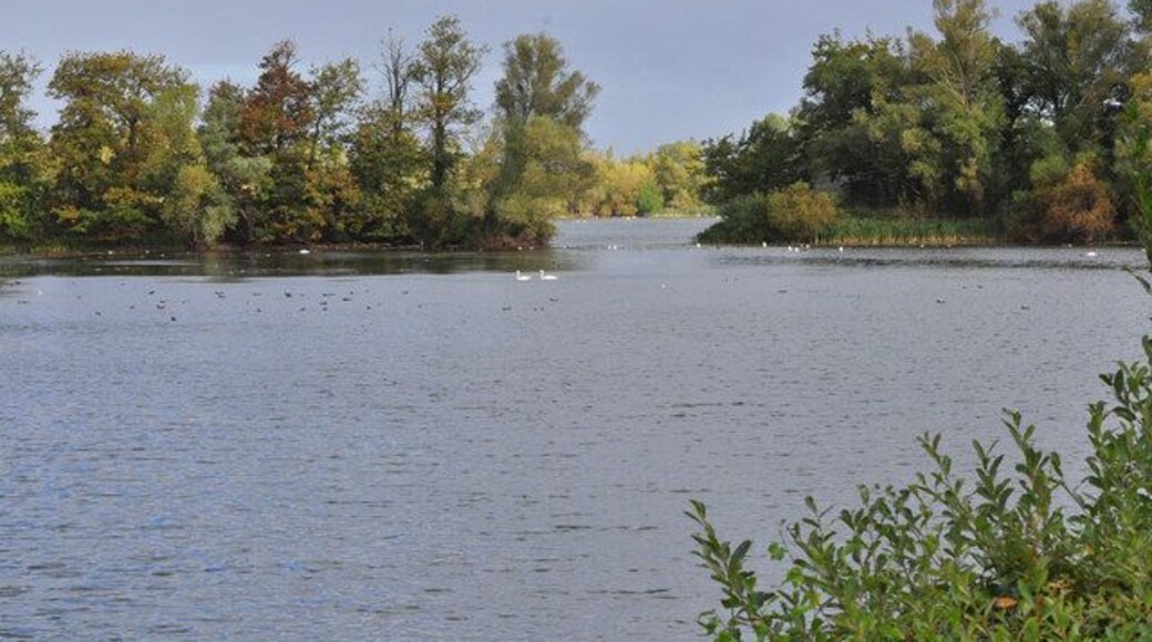 Little Paxton Nature Reserve