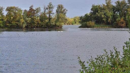 Little Paxton Nature Reserve