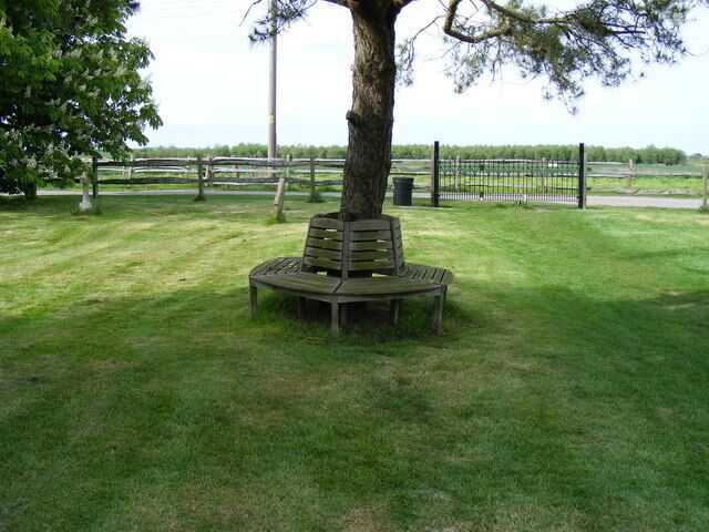 Bench around tree in St Thomas Churchyard