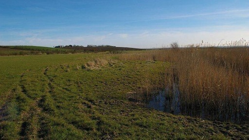 The Path to Mocketts The Bridle-path from Harty Ferry Road to Mocketts passes by a drainage ditch at this point